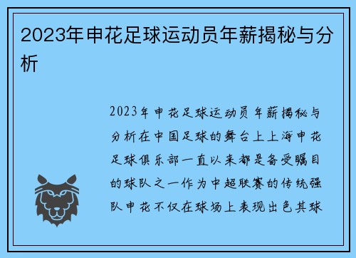 2023年申花足球运动员年薪揭秘与分析